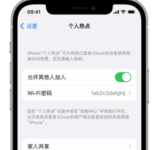 新干apple服务站点分享iPhone上个人热点丢失了怎么办 