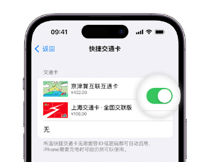 新干apple维修点分享iPhone上更换Apple Pay快捷交通卡手绘卡面 