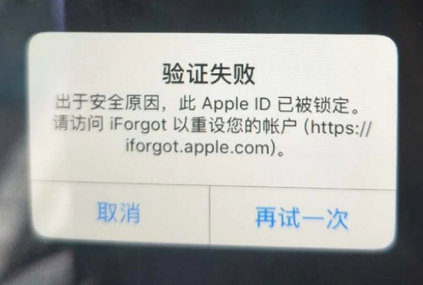 新干iPhone维修分享iPhone上正常登录或使用AppleID怎么办 