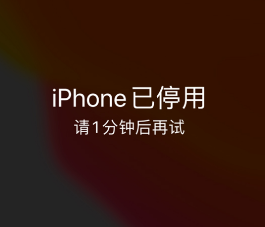 新干苹果手机维修分享:iPhone 显示“不可用”或“已停用”怎么办？还能保留数据吗？ 