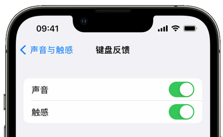 新干苹果手机维修分享iPhone 14触感键盘使用方法 