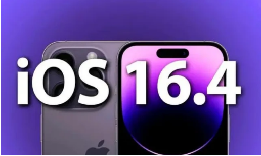 新干苹果14维修分享：iPhone14可以升级iOS16.4beta2吗？ 