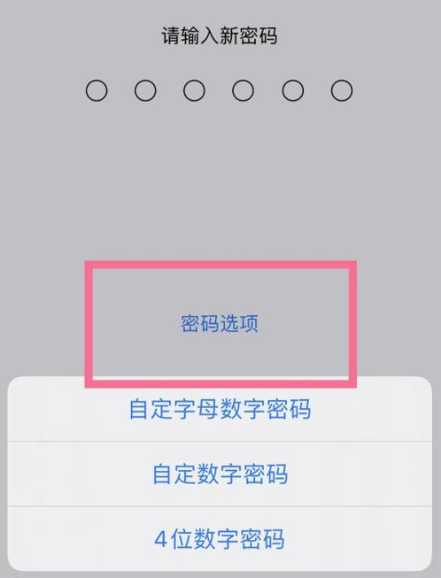 新干苹果14维修分享iPhone 14plus设置密码的方法 