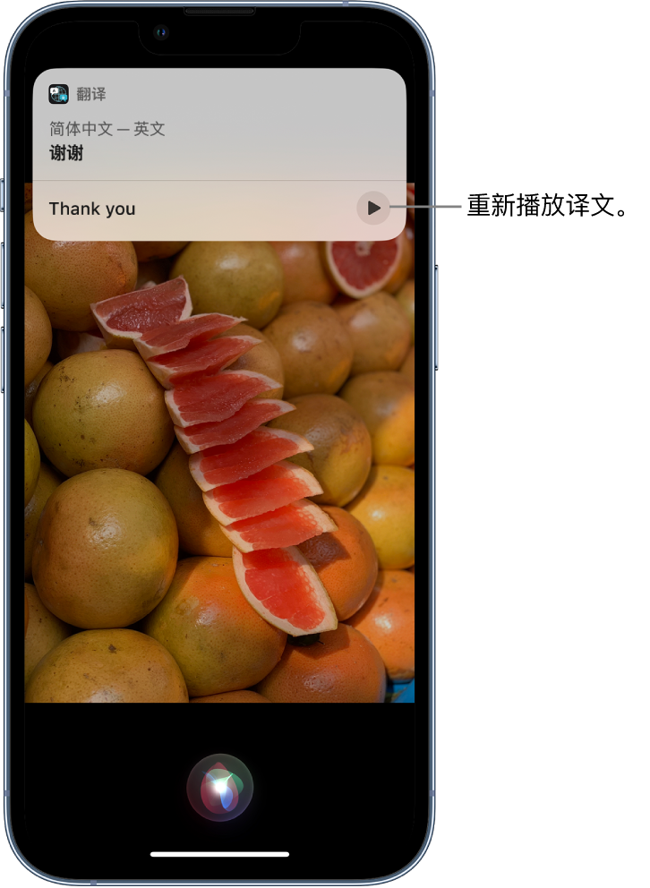 新干苹果14维修分享 iPhone 14 机型中使用 Siri：了解 Siri 能帮你做什么 