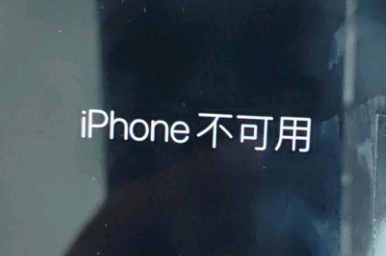 新干苹果服务网点分享锁屏界面显示“iPhone 不可用”如何解决 