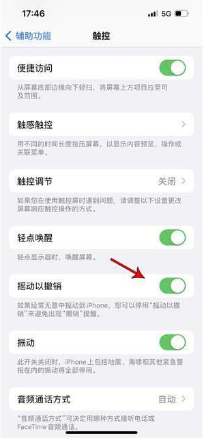 新干苹果手机维修分享iPhone手机如何设置摇一摇删除文字 