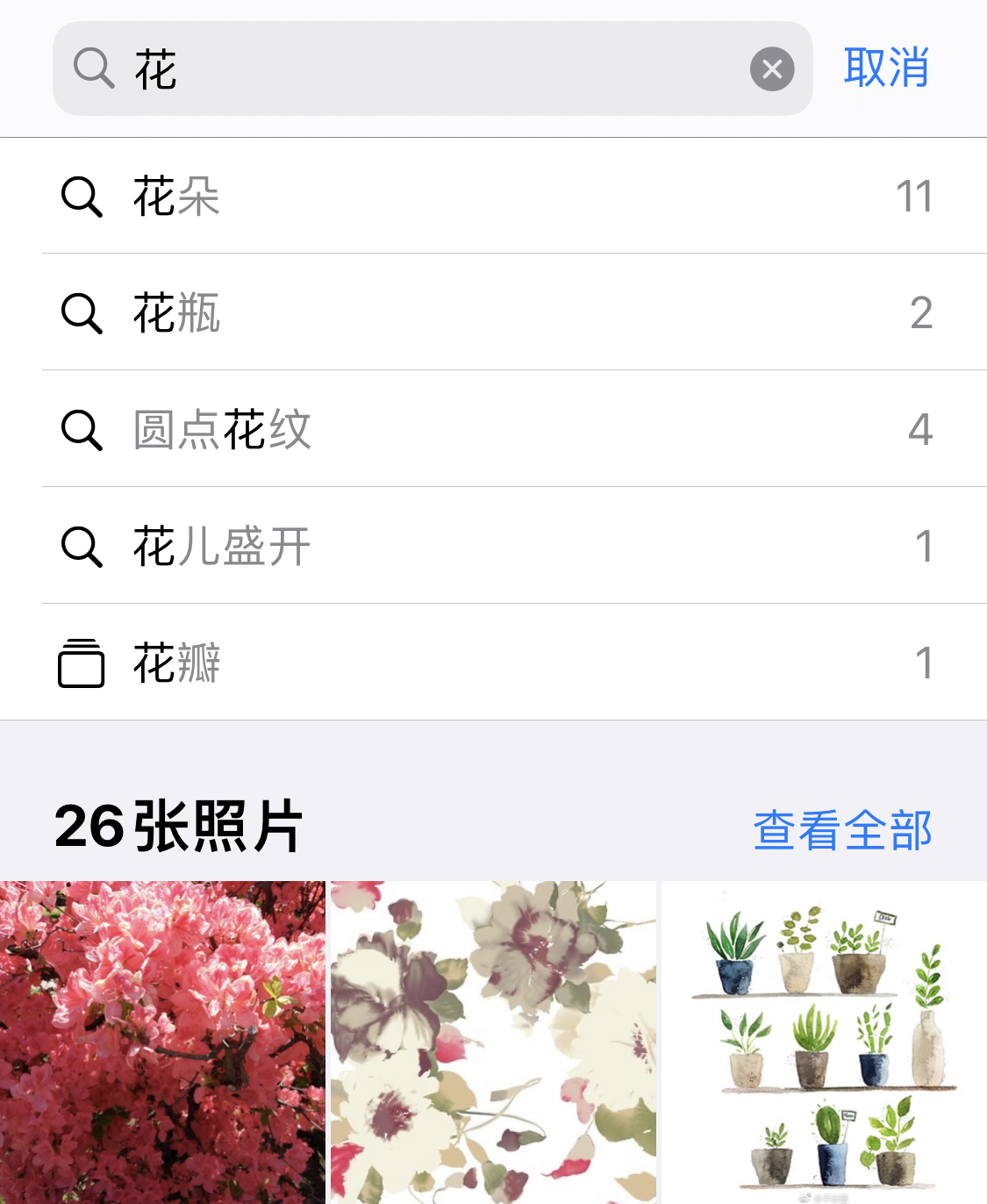 新干苹果手机维修分享iPhone 小技巧 