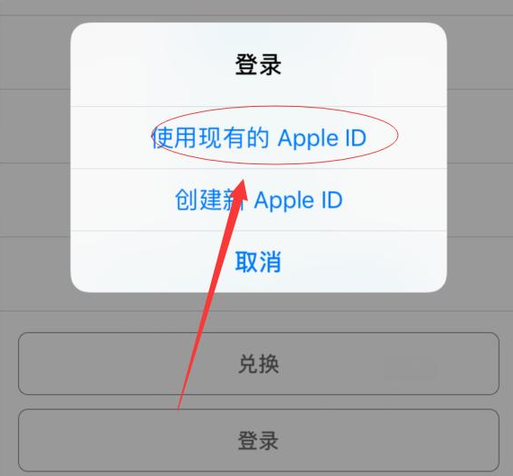 新干苹果手机维修分享两台iPhone设备可以同时登录一个Apple ID吗 