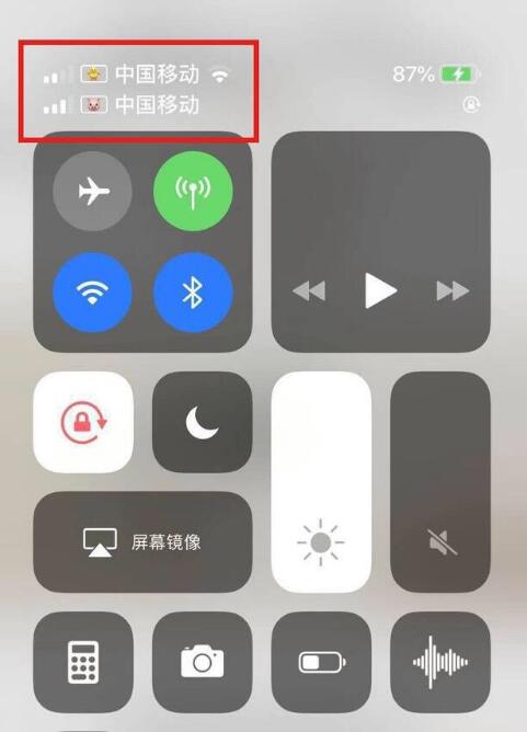 新干苹果手机维修分享为 iPhone 12 双卡设置标签 