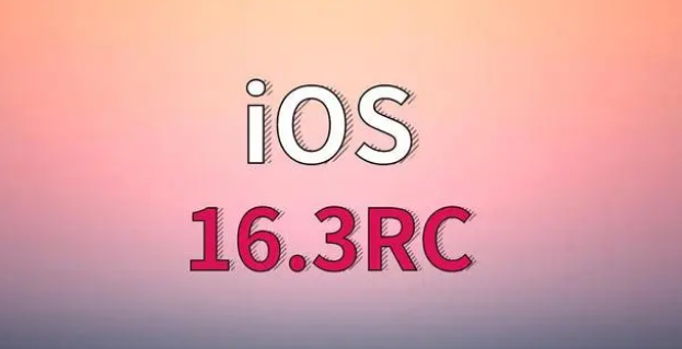 新干苹果手机维修分享iOS 16.3 RC版升级_iOS 16.3 RC版一键刷机教程 